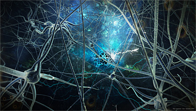 Зеркальные нейроны: вымысел и реальность